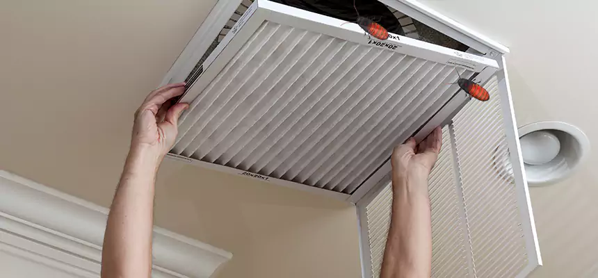 Our Insect Removal from Air Ducts Services in San Clemente, CA