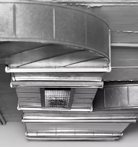 Professional Air Duct Pest Removal in San Clemente, CA