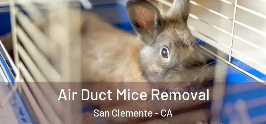  Air Duct Mice Removal San Clemente - CA