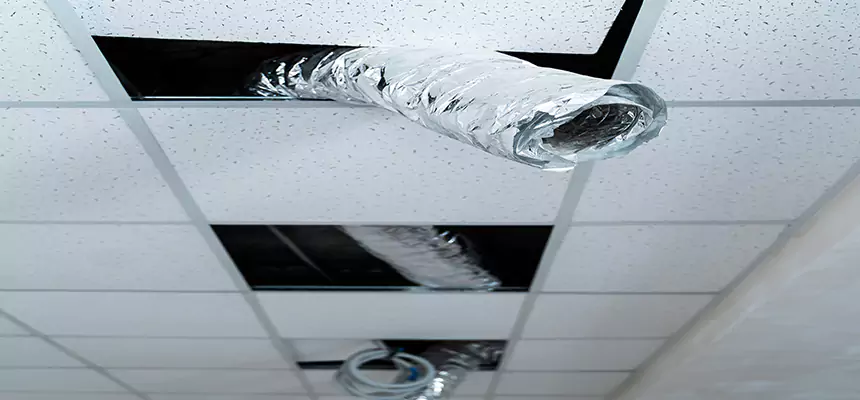 Our Air Duct Pet Hair Removal Services in San Clemente, CA