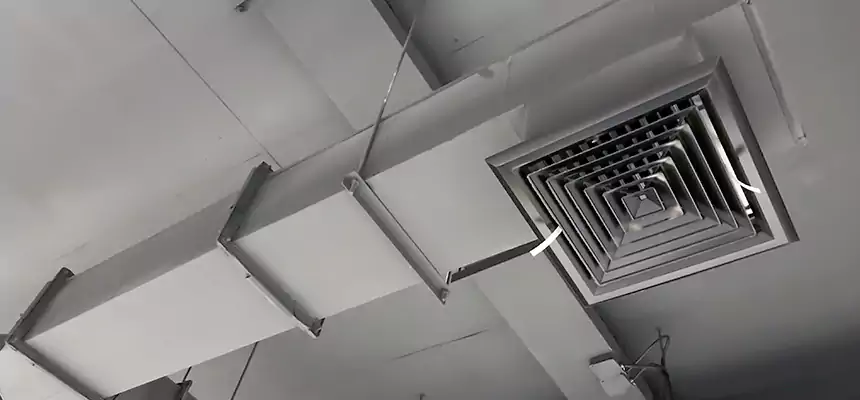 Our Rodent Droppings In Vents Services in San Clemente, CA