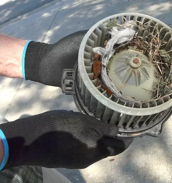 About Air Duct Rat Removal in San Clemente, CA