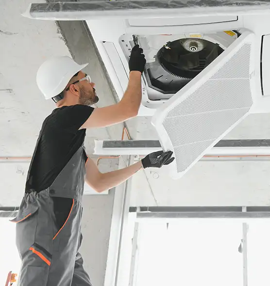 About Air Duct Rodent Removal in San Clemente, CA