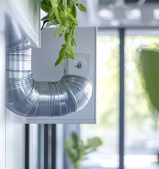 Professional Eco-Friendly Duct Cleaning Services in San Clemente, CA