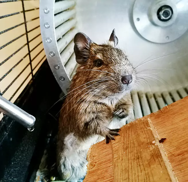 Why Homeowners & Businesses Trust Us San Clemente, CA